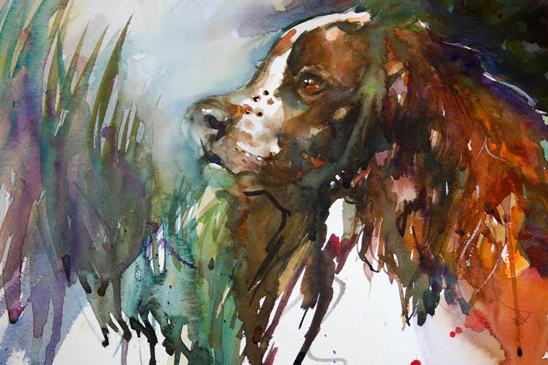 [Springer+Spaniel..jpg]