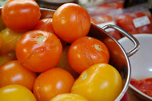 Freezing Tomatoes