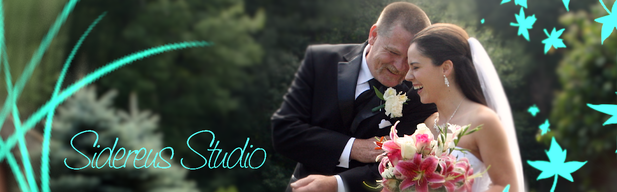 Sidereus Studio Photography - and tips for beginners