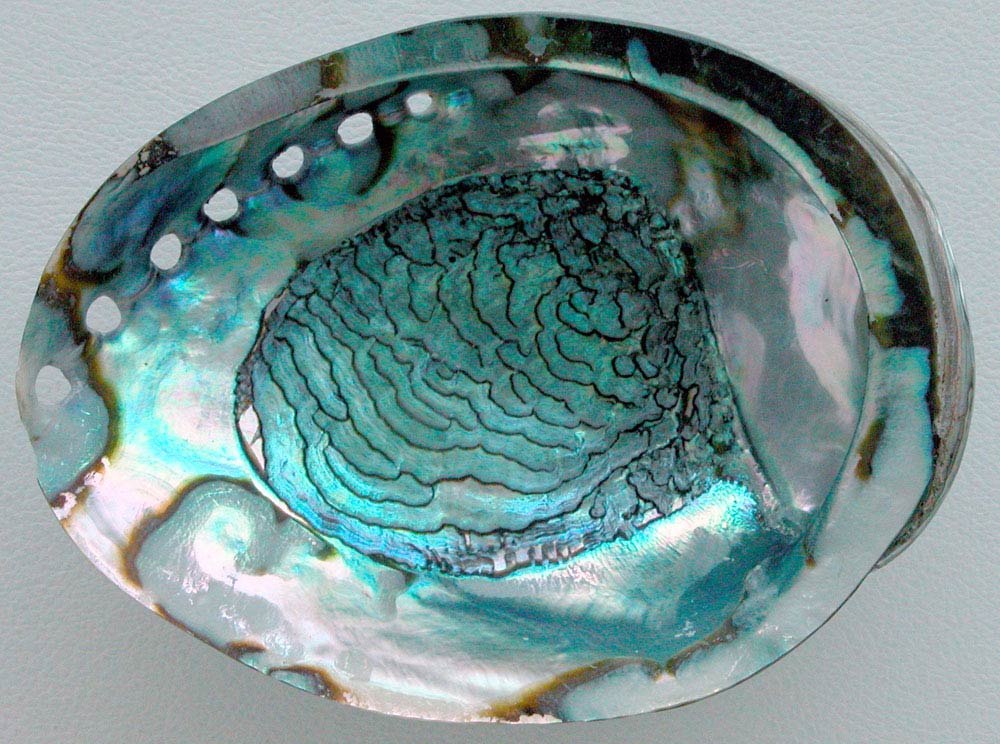blue-green-Mother-of-pearl