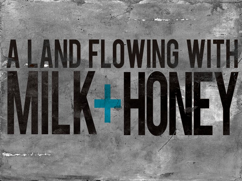 ELEVATION A Land Flowing With Milk and Honey