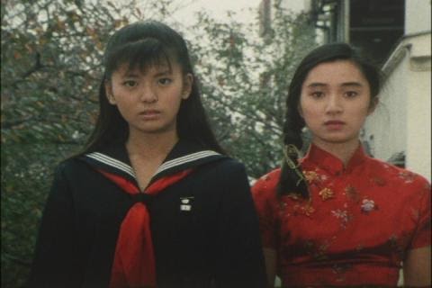 Teresa's Corner Kanako Maeda in other Toku series