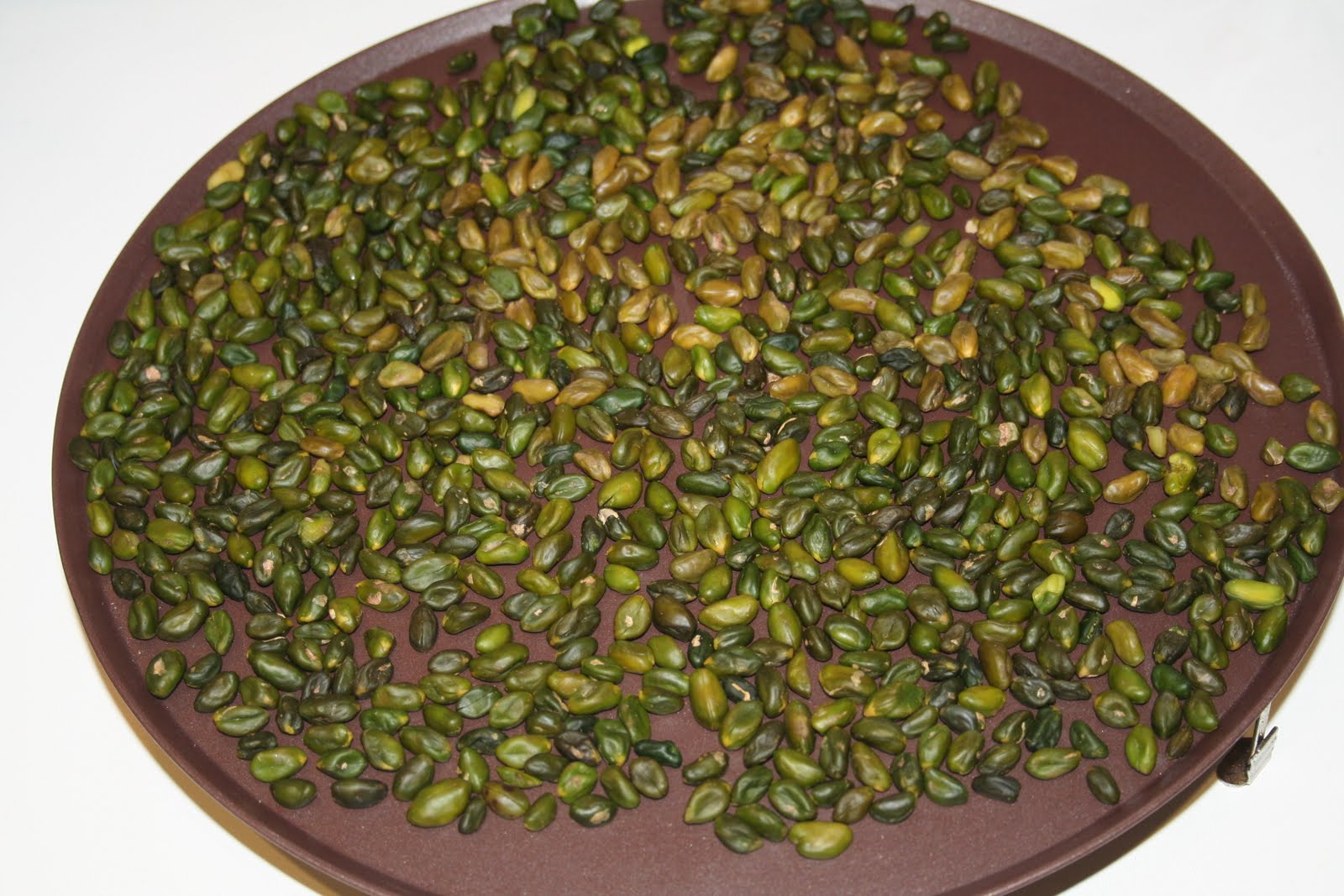 [pralinÃƒÂ©+058.jpg]