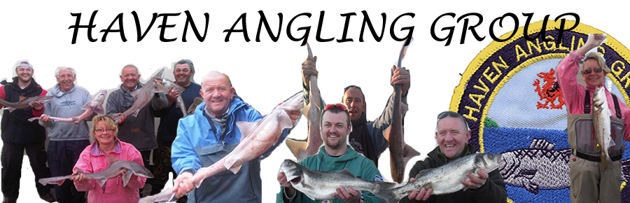 Haven Angling Group
