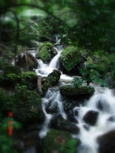 Rainforest waterfall