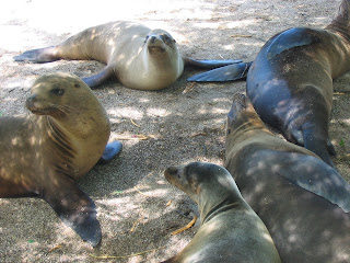 San Cristobal Galapagos Islands