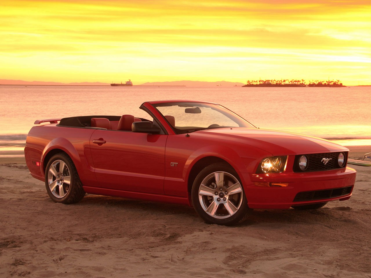 Mustang On Beach
