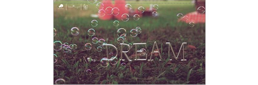 ' Dream On