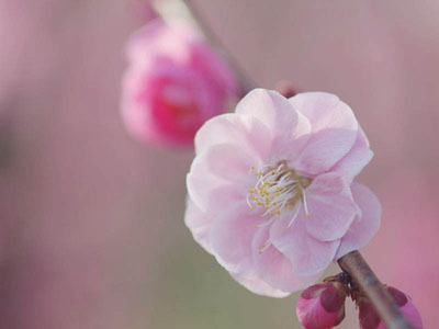 [IMGP2095_edit(s).jpg]