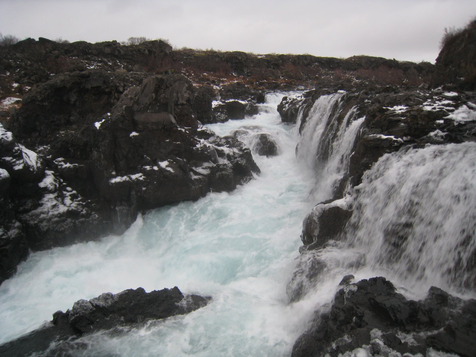 [IMG_7848.JPG]