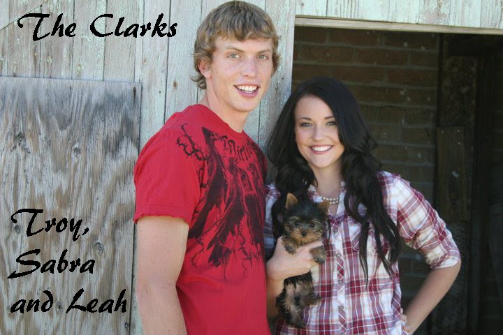 The Clarks