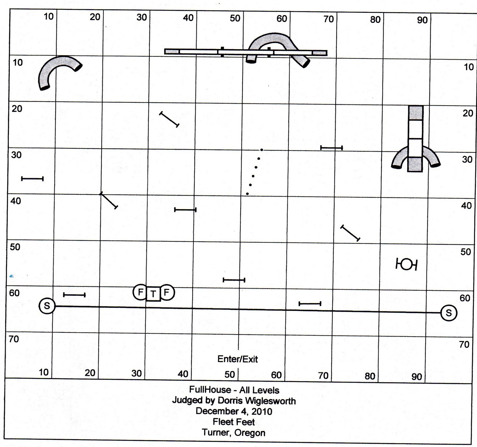 Danes Can Q Fleet Feet December CPE Agility Trial