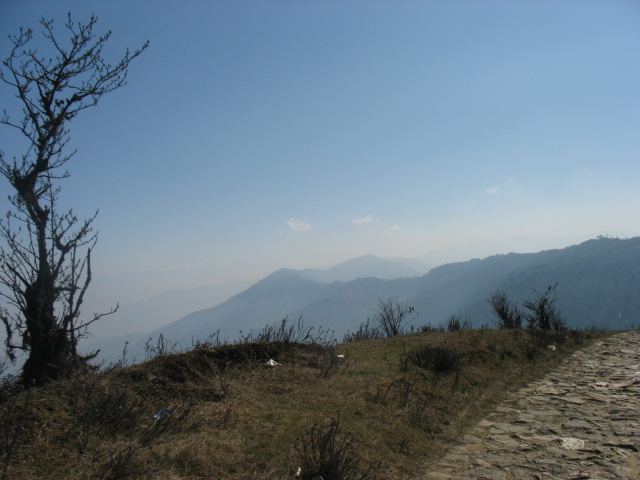 [IMG_6315.JPG]