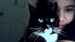 my and my baby cat