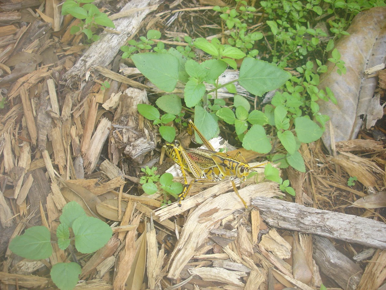 [DSC02806.JPG]
