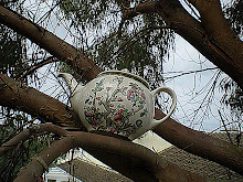 Tea for two.