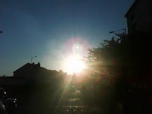 Summer, alive and kicking.