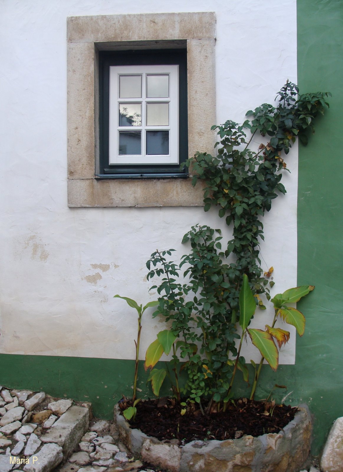 [DSC01878.JPG]