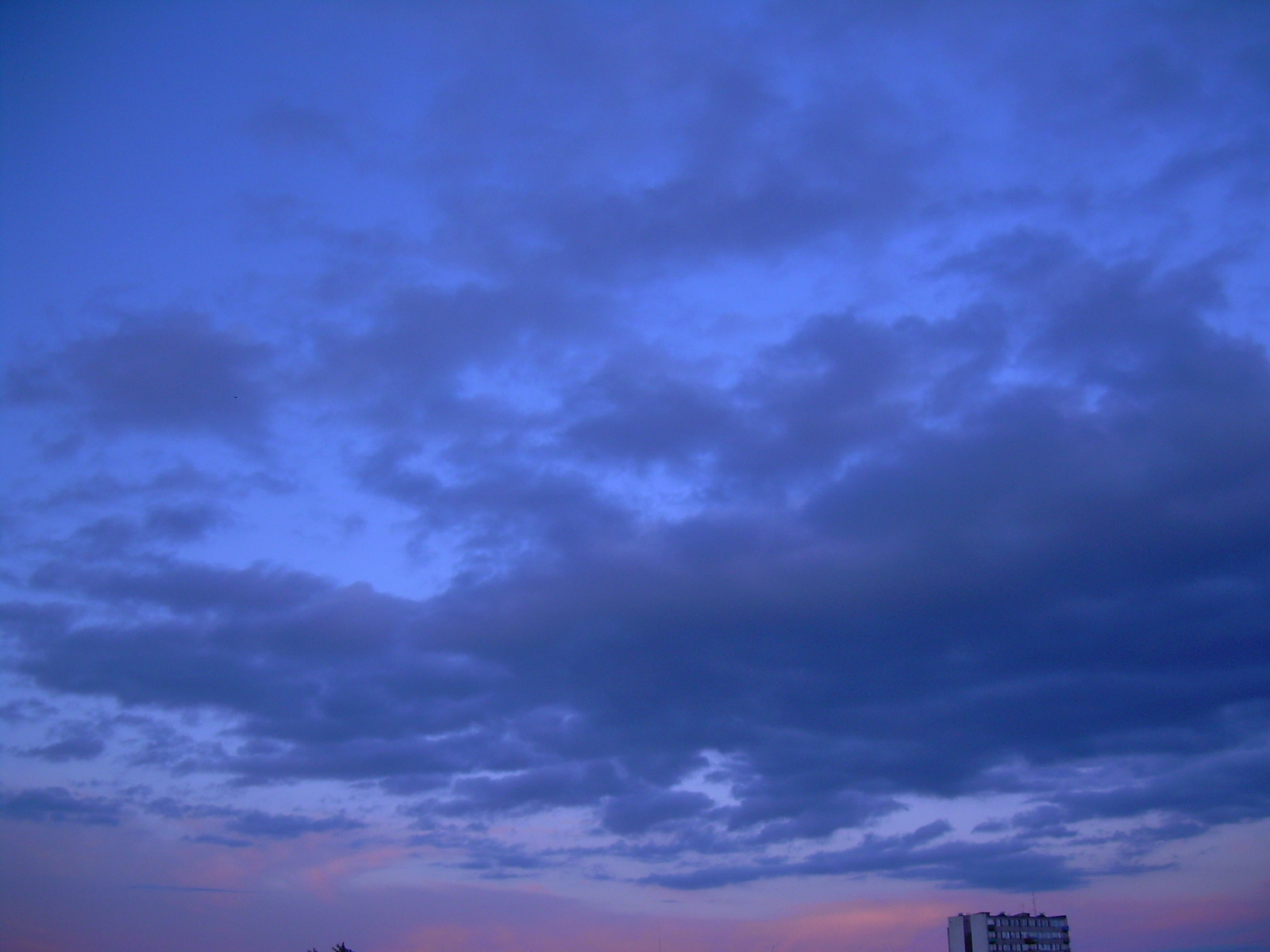 [DSCN5155.JPG]