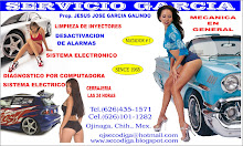 Servicio Garcia