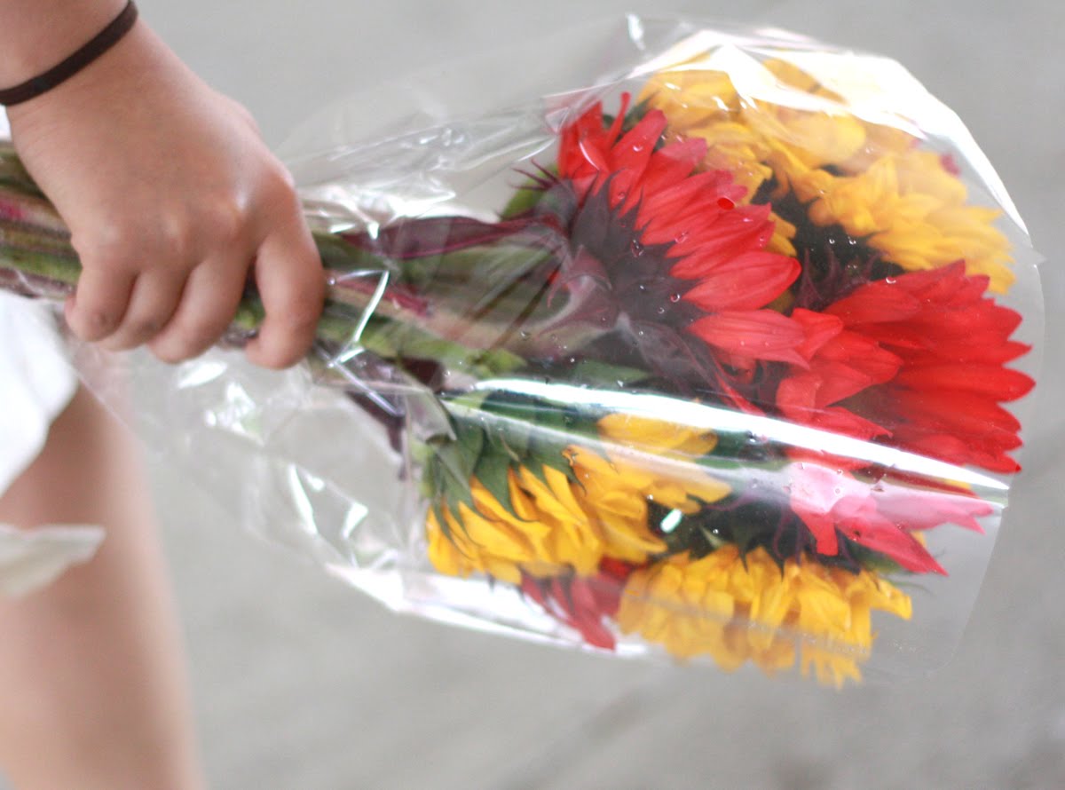 Journal My Pics CHEER UP FLOWERS