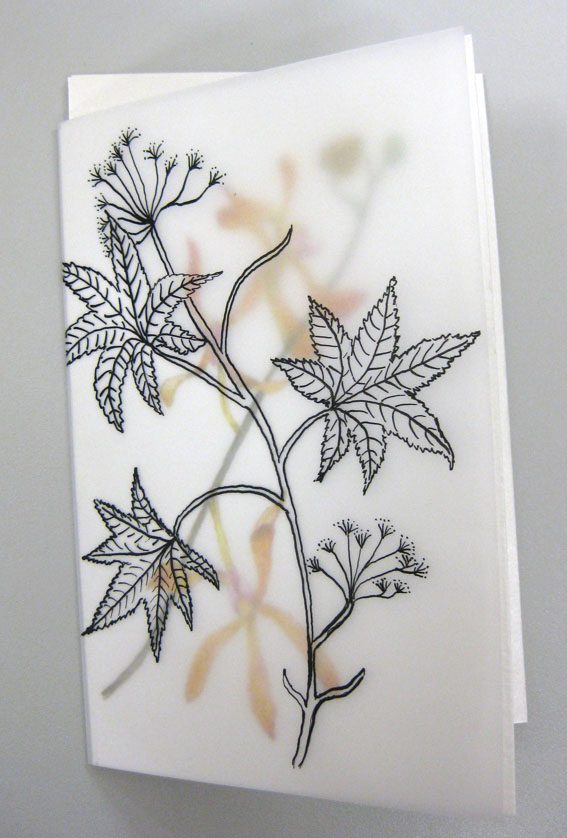 Botanic Art Classes Botanical Art Greeting Cards