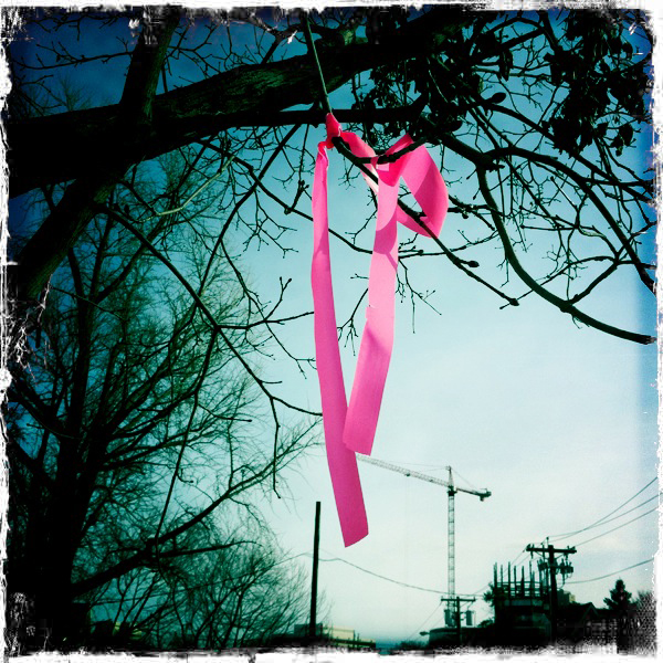 forms traced by light pink ribbon