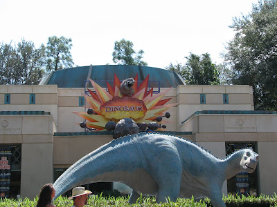 Disneyworld Animal Kingdom. of Disney's Animal Kingdom