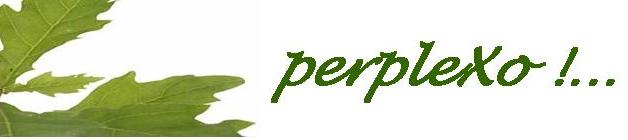 PERPLEXO
