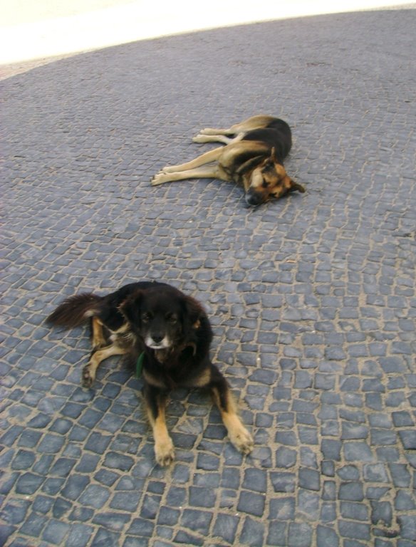 [abandono.jpg]