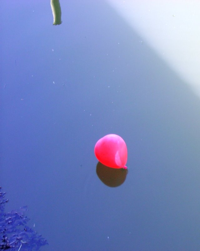 [balão.JPG]