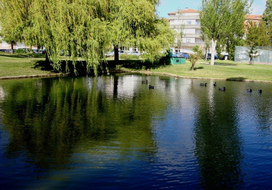 [jardim1.JPG]