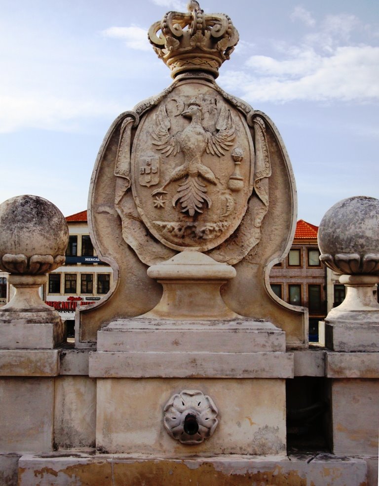 [Aveiro1.JPG]