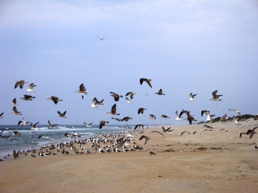 [DSC09797.JPG]