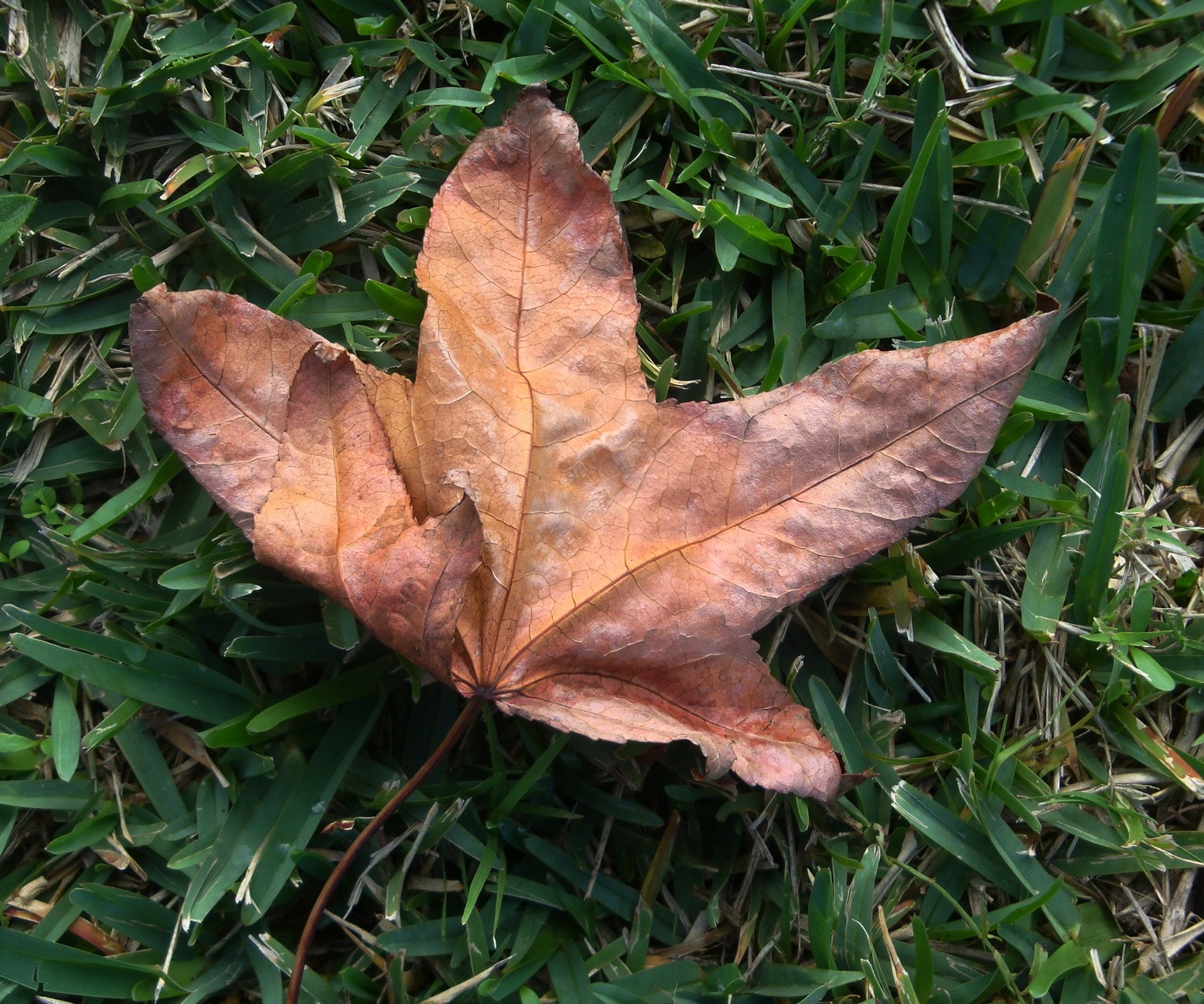[DSC01158.JPG]