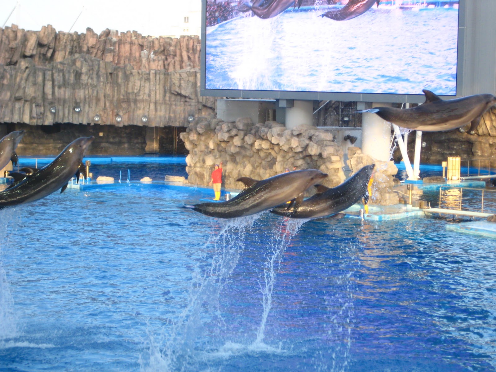 Major Ports Of The World Port Of Nagoya, Japan