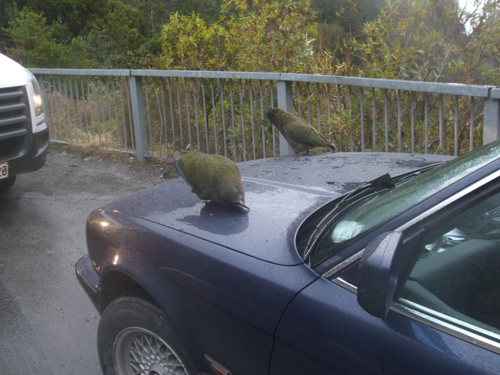 [14-07-2009+132.jpg]