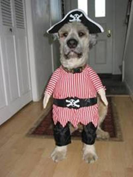 [Dogs_18.jpg]