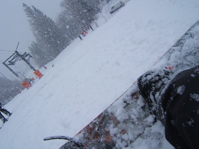 [DSCF8247.JPG]