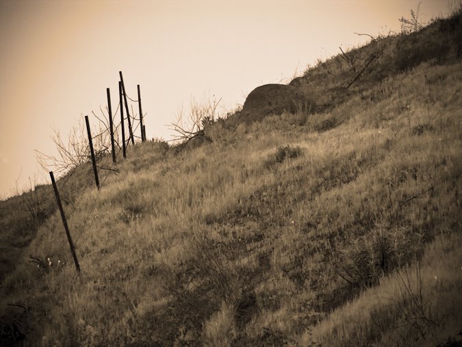 [fence.jpg]