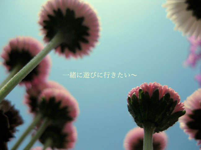 あなたに逢って遊びに行きたい。