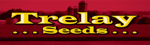 Your Seed Partner