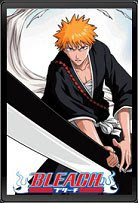 BLEACH