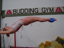 BUDDING GYM