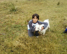 FOTOS VARIAS