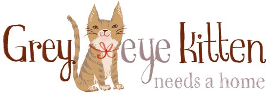 grey eye kitten