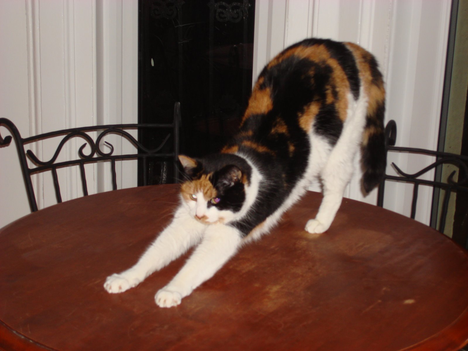 [DSC00753.JPG]
