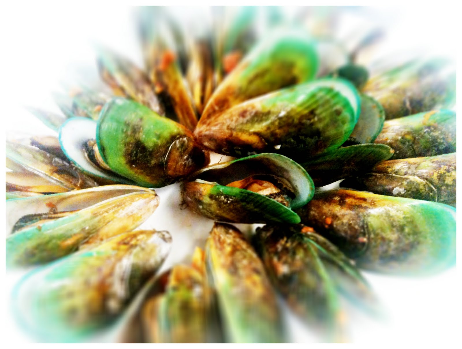 Toast: Mediterranean Seafood