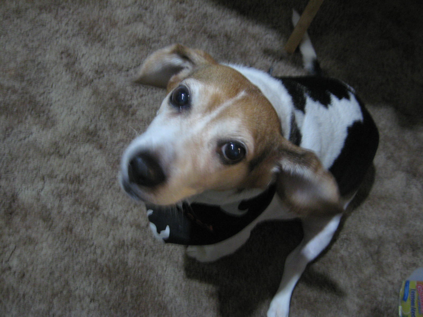 [October2008+012.JPG]