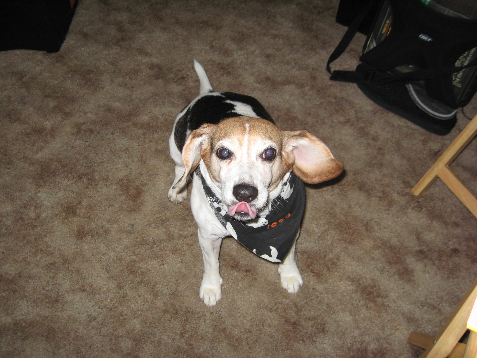 [October2008+010.JPG]